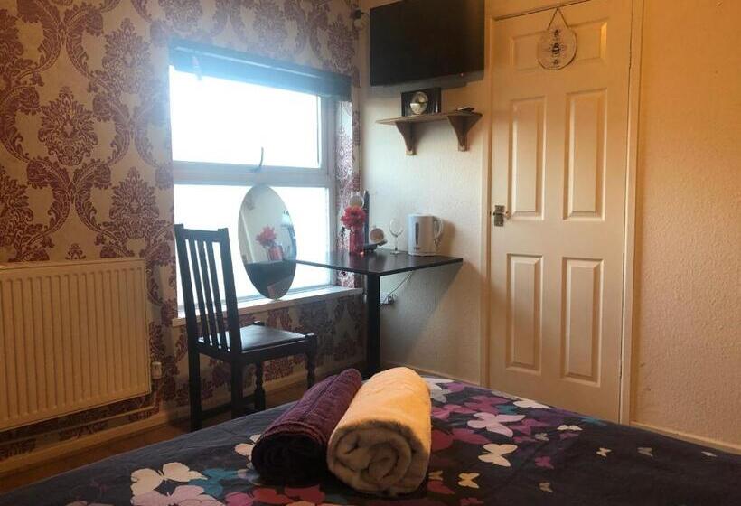 غرفة قياسية, Bright Apartments