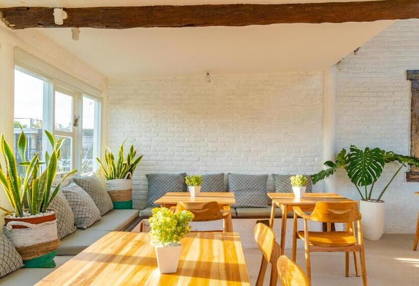 חדר סטנדרט נוף לגינה, Despacito Loft & Lounge