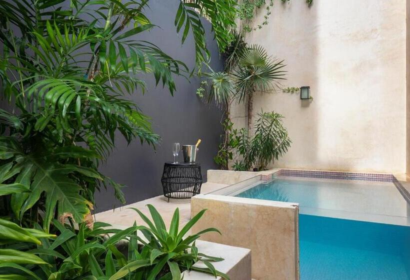 استودیوی استاندارد, Ujo Condo Boutique