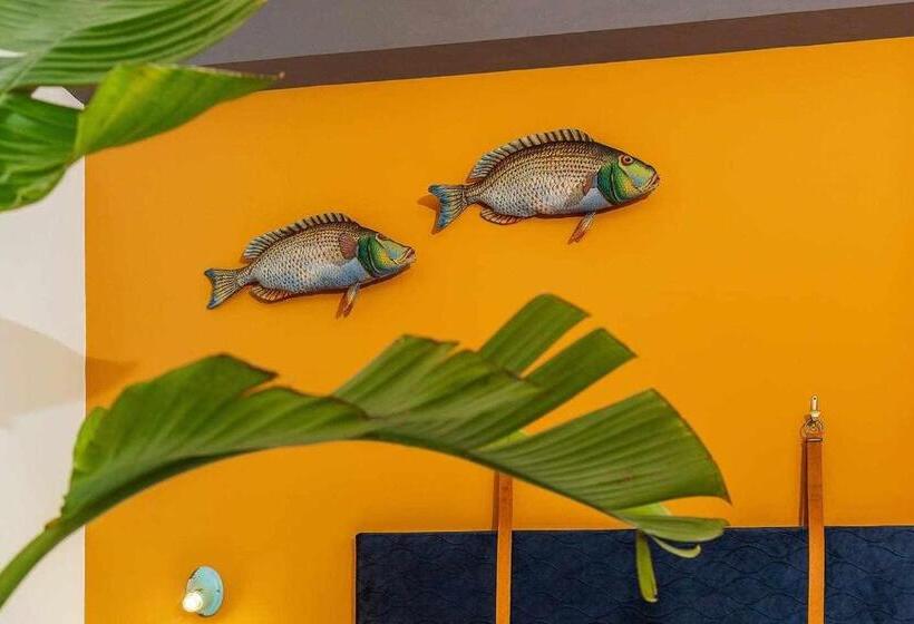 غرفة قياسية داخلية, Bb Ogliastroom