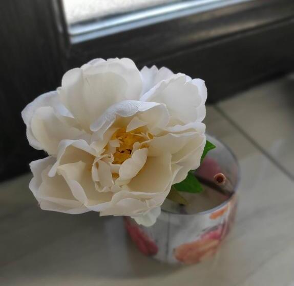 חדר סטנדרט נוף לגינה, Happy Home