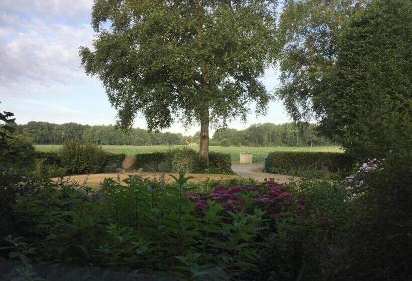 テラス付きスタンダードルーム, Altynghe