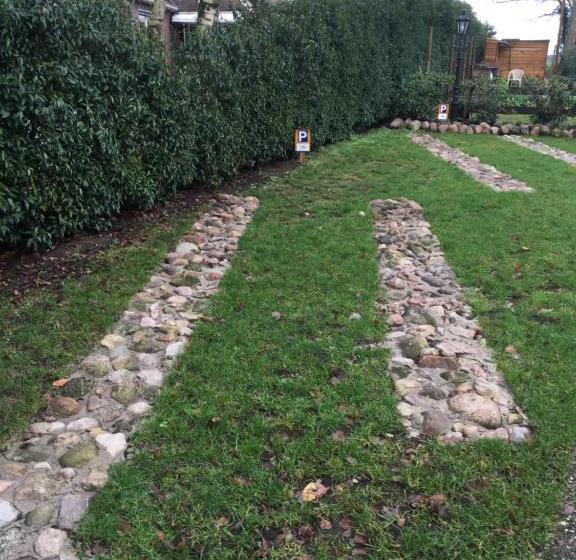 テラス付きスタンダードルーム, Altynghe