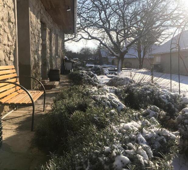 豪华工作室, Hungry Grape Guests