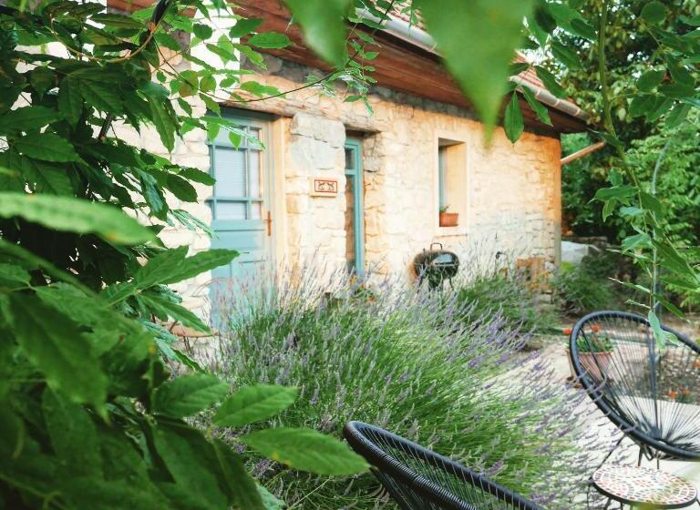 豪华工作室, Hungry Grape Guests