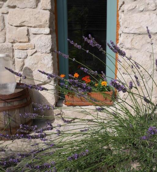 豪华工作室, Hungry Grape Guests