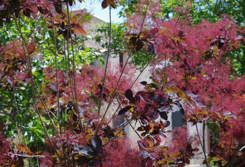ガーデンビューファミリールーム, Les Chambres D Hôtes De Valensole Au Pays Des Lavandes Et Proche Des Gorges Du Verdon