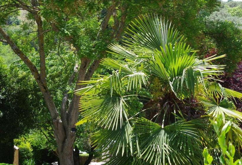 スタンダードルーム, Les Chambres D Hôtes De Valensole Au Pays Des Lavandes Et Proche Des Gorges Du Verdon