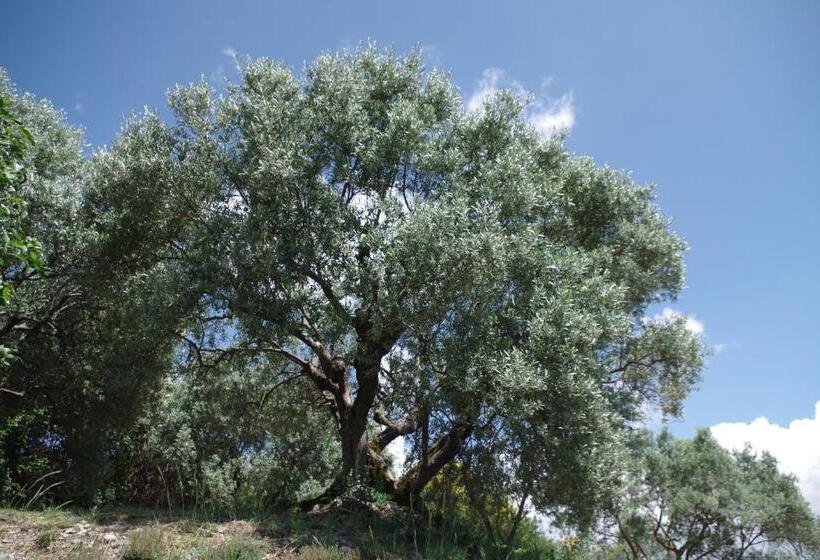 テラス付きスタンダードルーム, Les Chambres D Hôtes De Valensole Au Pays Des Lavandes Et Proche Des Gorges Du Verdon