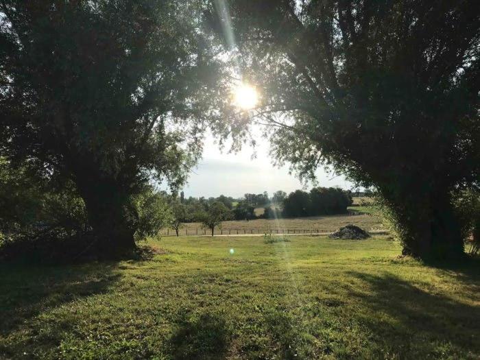 标准间, La Grange à Outeaux