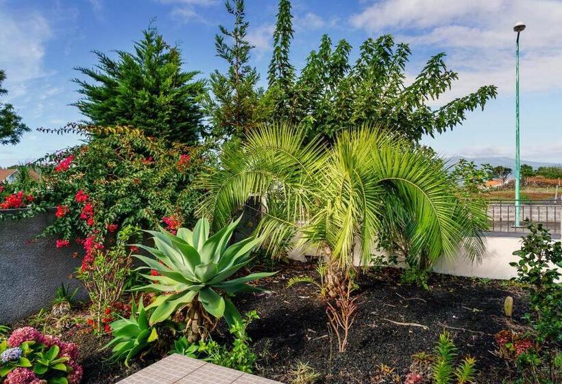 اتاق استاندارد با چشمانداز باغ, Rainbow Guest House