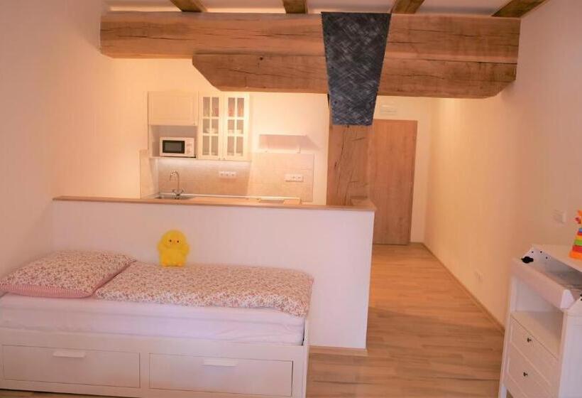 استودیو خانوادگی, Resort Mlýn Karolínka