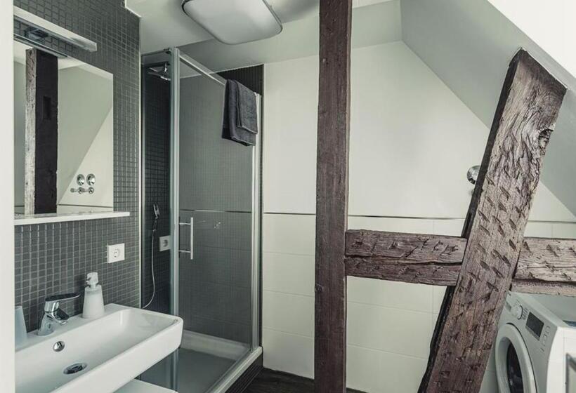침실 1개 수피리어 아파트, Ferienwohnungen Und Boardinghouse Heimbach In Lahr