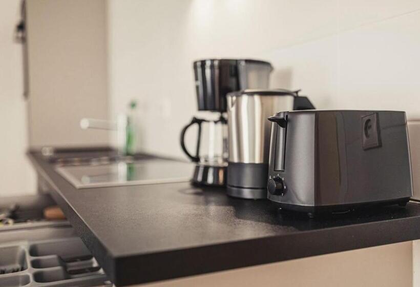 带1个卧室的豪华公寓, Ferienwohnungen Und Boardinghouse Heimbach In Lahr