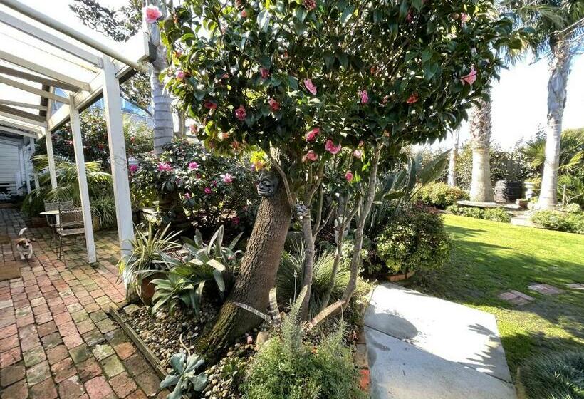 اتاق استاندارد, Bayview Studio