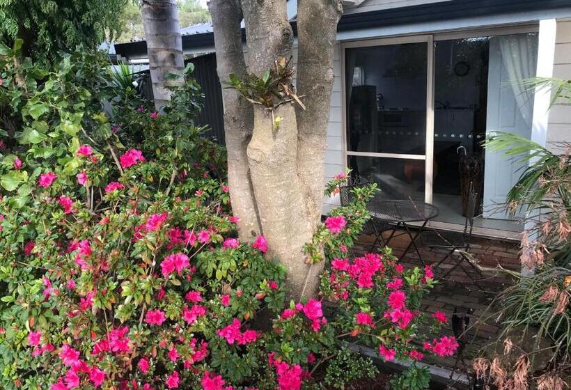 اتاق استاندارد, Bayview Studio