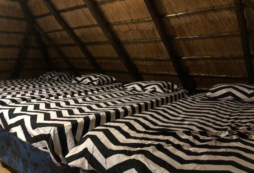 בונגלו משפחתי, Best View Family Loft