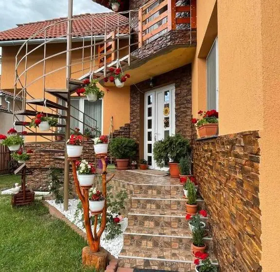 سوییت, Casa De Oaspeti Cristian