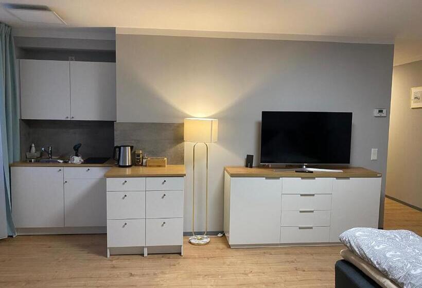 Студия Deluxe, City Studio Apartment Am Hauptbahnhof N6
