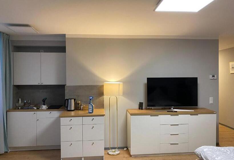 Студия Deluxe, City Studio Apartment Am Hauptbahnhof N6