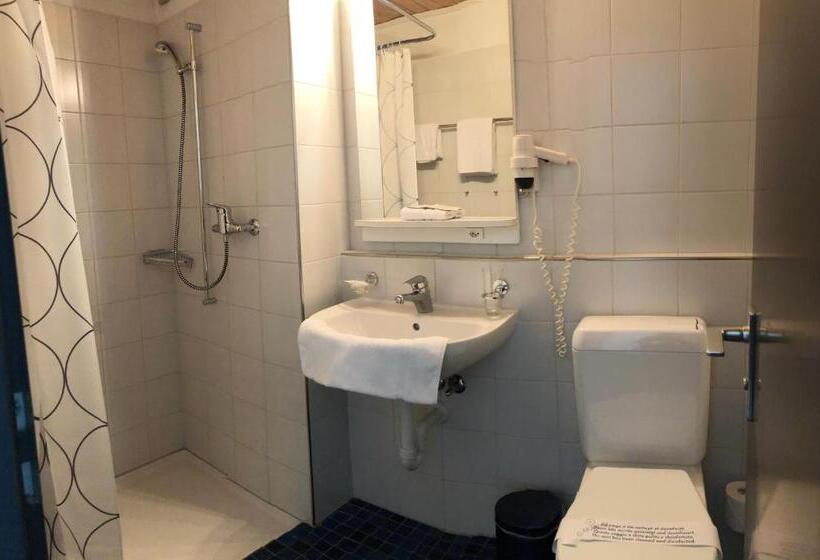 이코노미 싱글 룸, Metropol