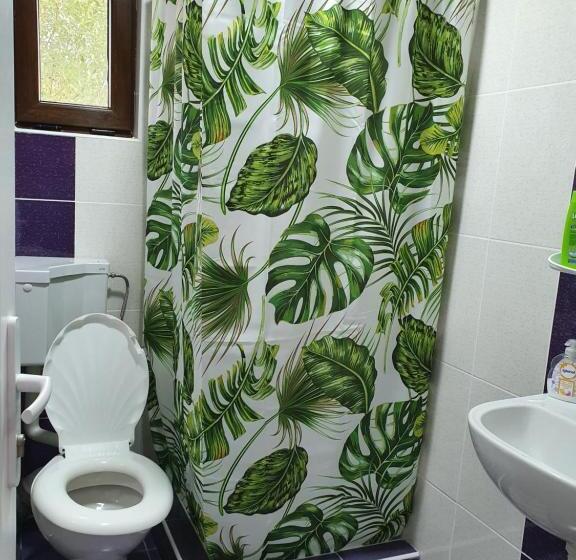 标准间带山景, Pensiunea Ronicson