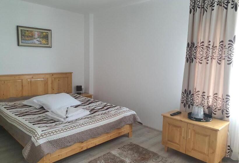 标准间带山景, Pensiunea Ronicson