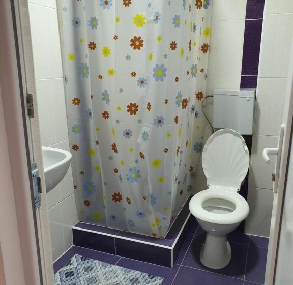 标准间带山景, Pensiunea Ronicson