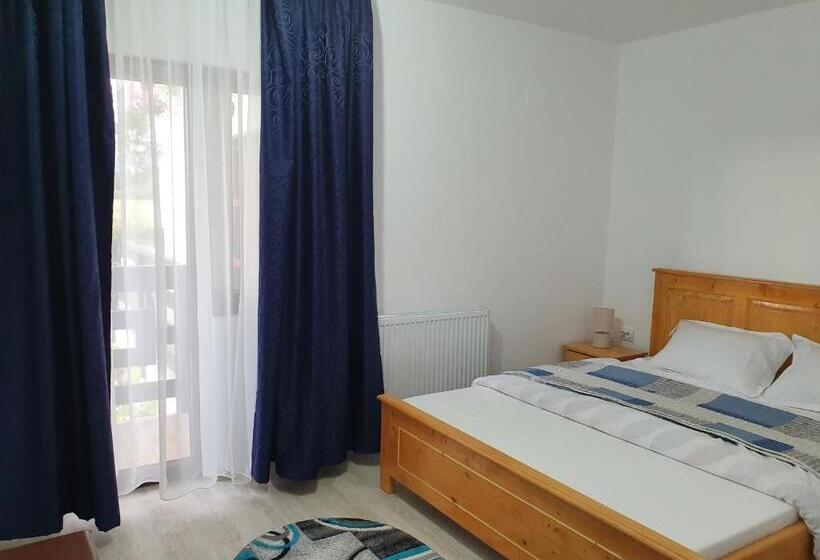 标准间带山景, Pensiunea Ronicson