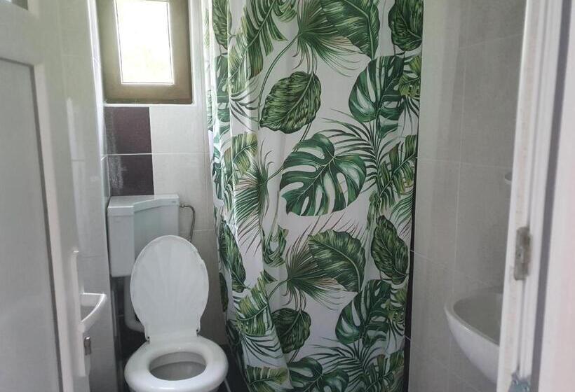 家庭间, Pensiunea Ronicson