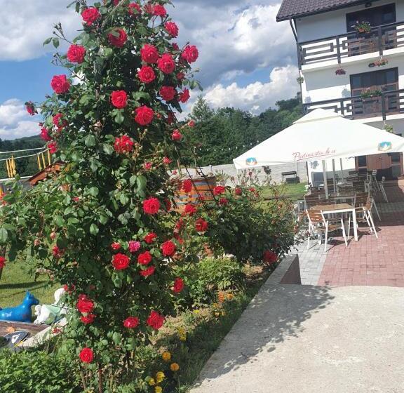 Deluxe room with river view, Pensiunea Ronicson