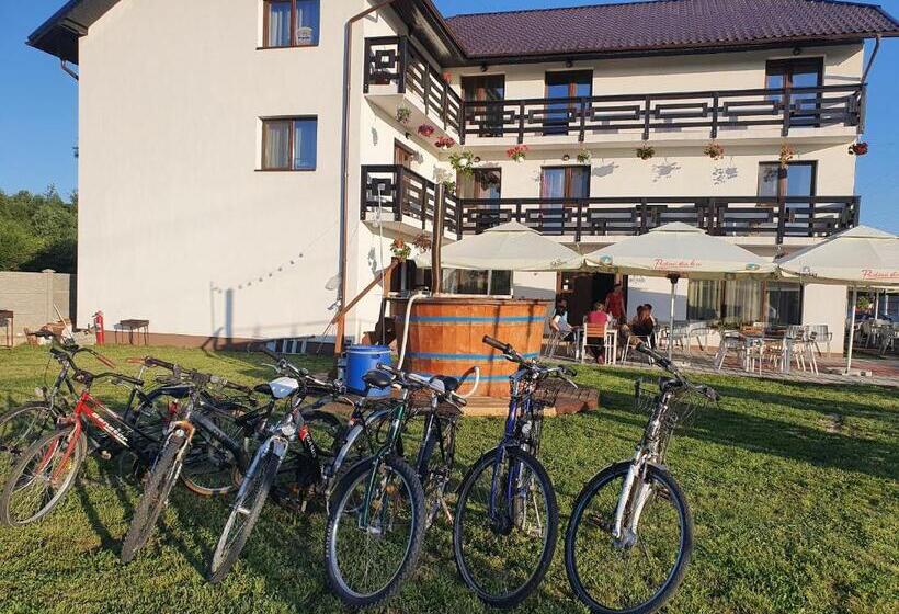 Deluxe room with river view, Pensiunea Ronicson