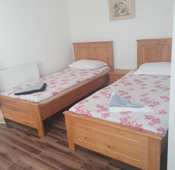 Deluxe room with river view, Pensiunea Ronicson