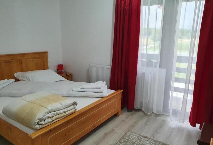 标准间带山景, Pensiunea Ronicson