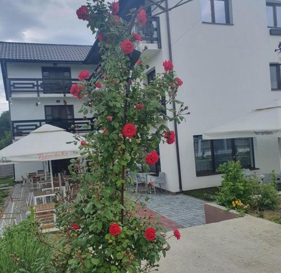 标准间带山景, Pensiunea Ronicson