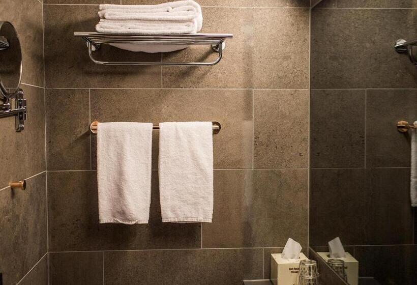 Номер Basic, Arken Hotel & Art Garden Spa