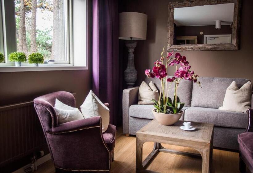 Номер Deluxe, Arken Hotel & Art Garden Spa