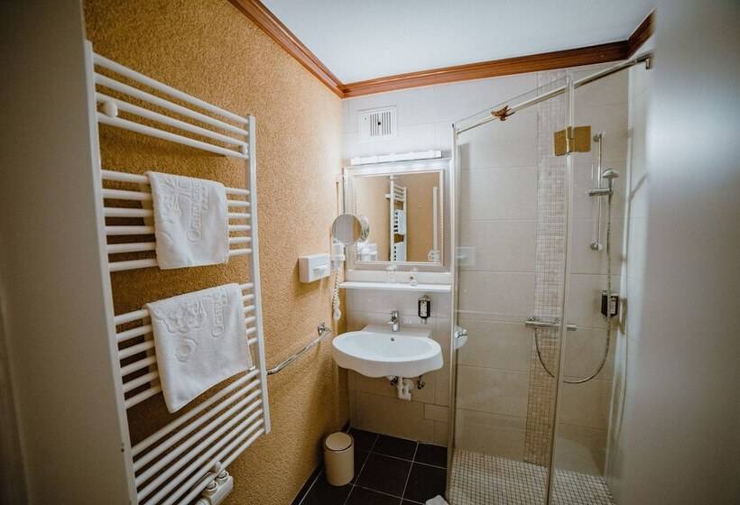 Номер Economy Индивидуальный, Garten Hotel Ochensberger
