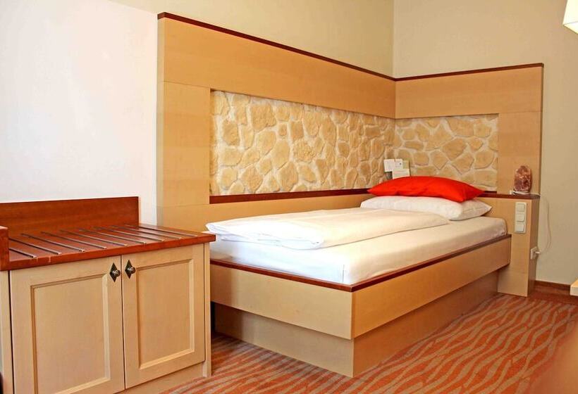 חדר אקונומי יחיד, Garten Hotel Ochensberger