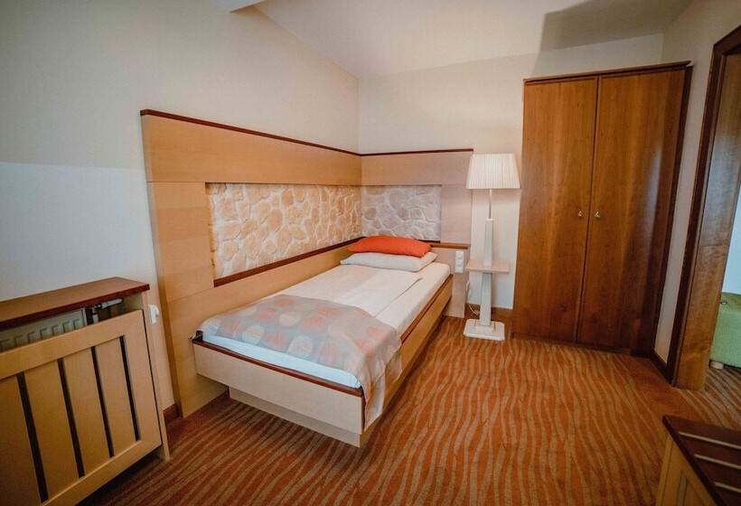Номер Economy Индивидуальный, Garten Hotel Ochensberger