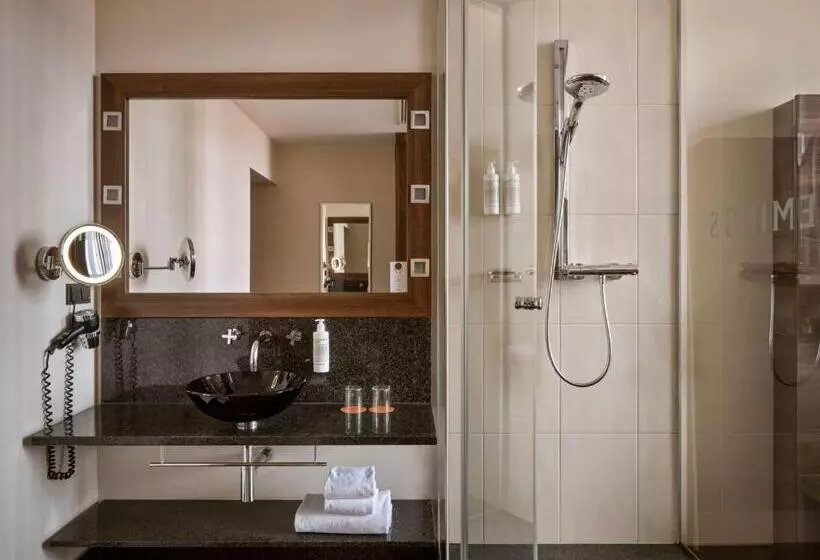 اتاق سوپریور یک تخته, Flemings Selection Hotel Wien City