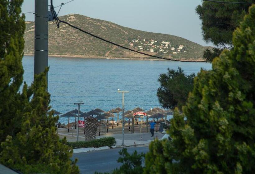 اتاق استاندارد سه نفره, Kiani Akti