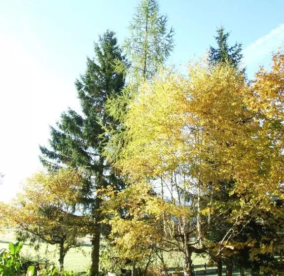 اتاق استاندارد چهار تخته, Menthof
