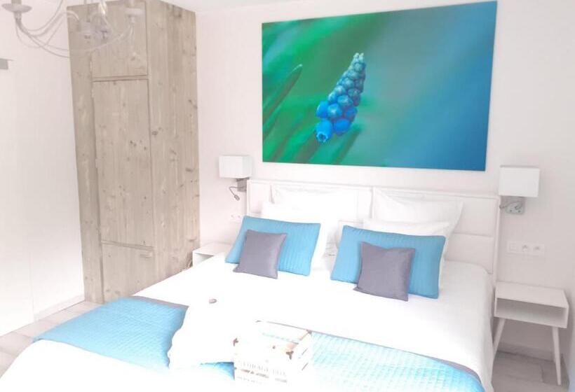 スタンダードルーム, Villa Blue Garden B&b Vlaamse Ardennen Nabij Pairi Daiza
