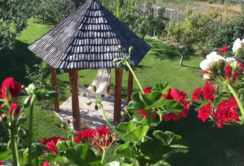 庭の見える１ベッドルームアパートメント, Casa Moldovan