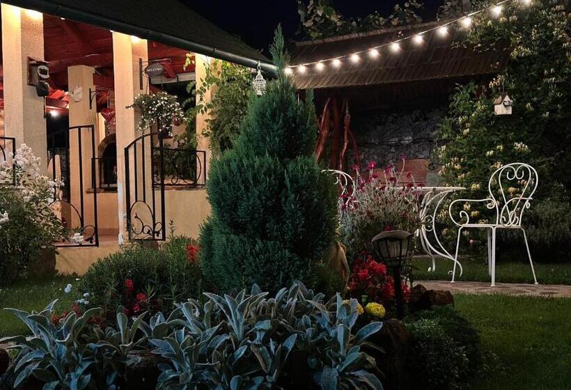 غرفة ديلوكس, Casa Moldovan