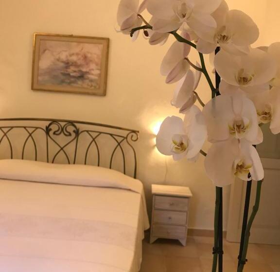Номер Стандарт, Domo Antiga Guest Rooms