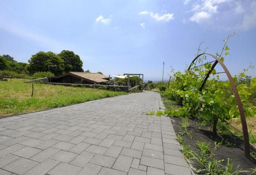 خانه 1 خوابه, Cirasa Luxury Country House