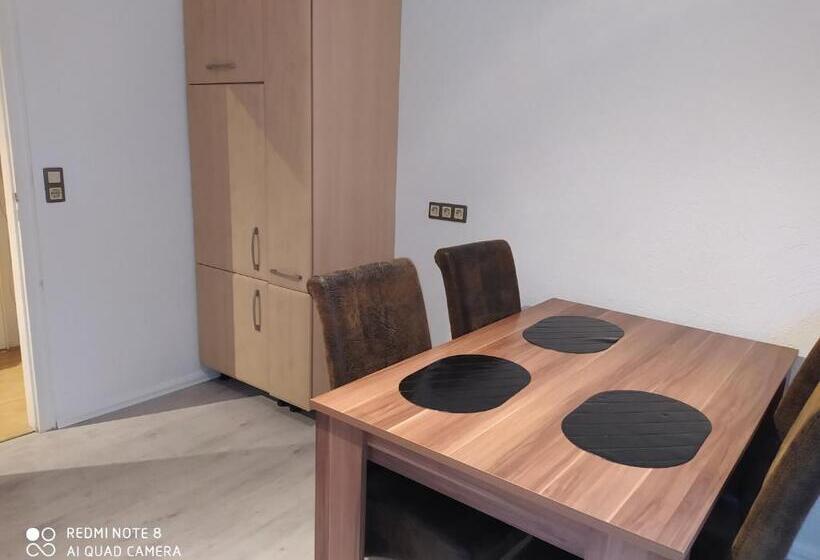 Quarto Estandar Individual, Misha,s