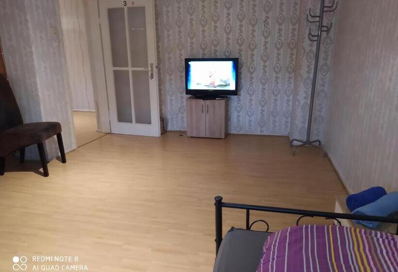 스탠다드 룸, Misha,s